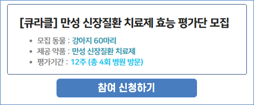 250715_반려견.png