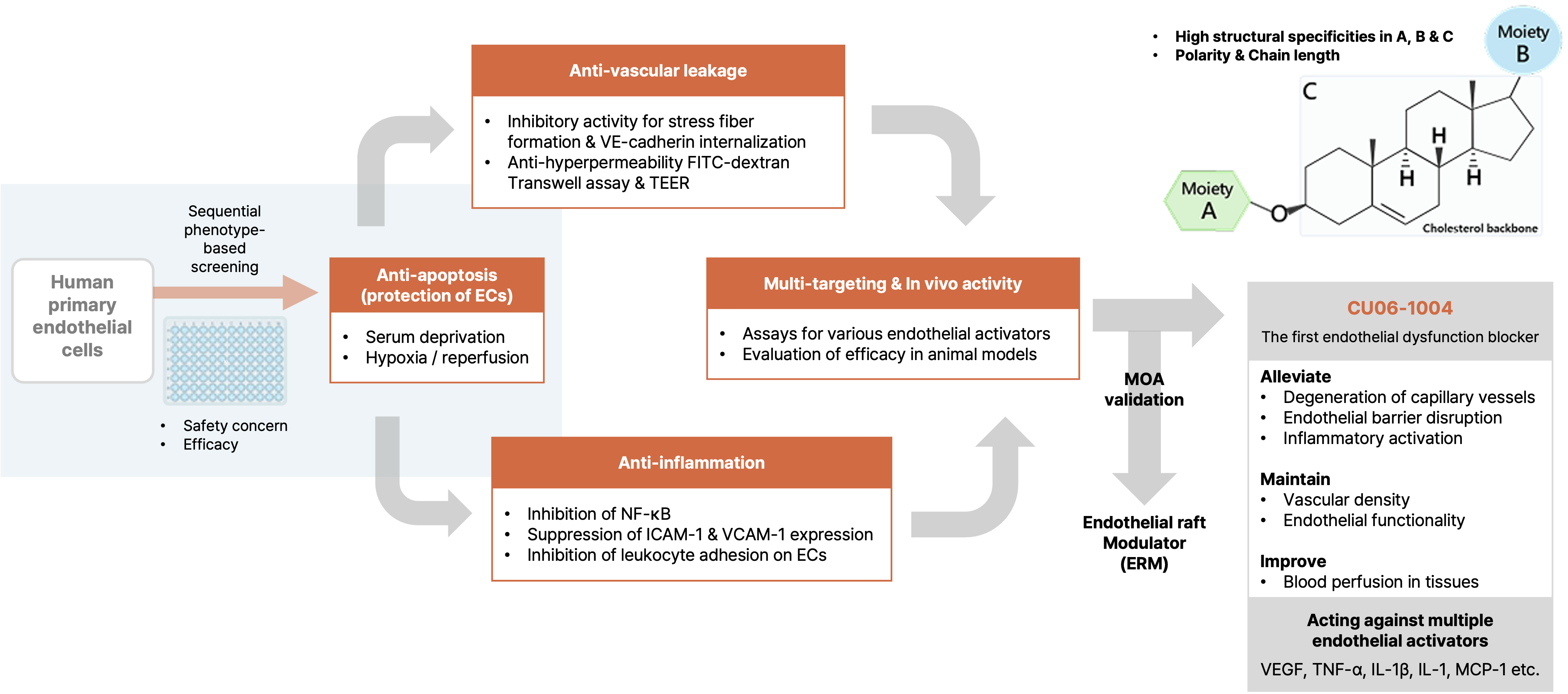 SOLVADYS® & CU06-1004(Rivasterat)